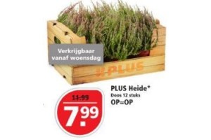 plus heide