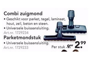 parketmondstuk