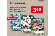 crocussen