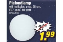 plafondlamp