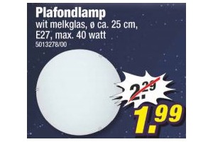 plafondlamp