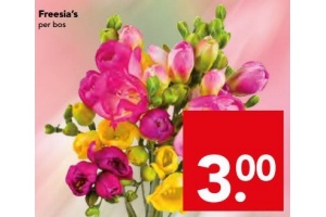 freesia en rsquo s