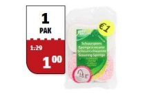 bright star schuurspons