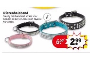 dierenhalsband