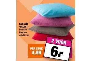 kussen velvet