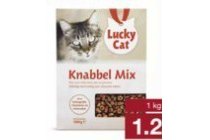 kattenbrokjes