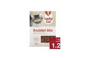 kattenbrokjes