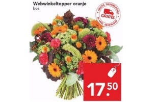 webwinkeltopper oranje