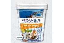 eridanous yoghurtijs