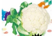 hollandse bloemkool