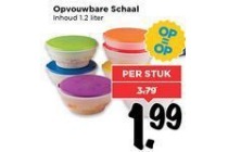 opvouwbare schaal