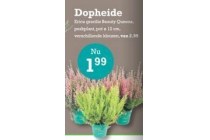 dopheide