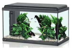 led aquarium aqua 60