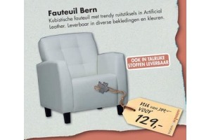 fauteuil bern