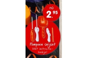 pompoen snijset