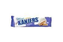 mini kanjers