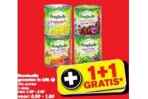 bonduelle groenten in blik
