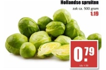 hollandse spruiten