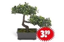 kunst bonsai boompje