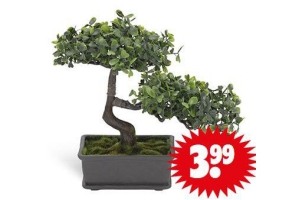 kunst bonsai boompje