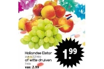 hollandse elstar of witte druiven