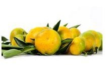 satsuma mandarijnen