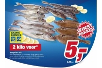 vergeten vis