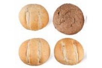 proef t verschil italiaanse of volgranen bollen