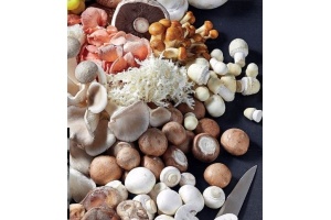 champignons