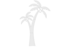 wanddecoratie palmboom