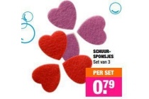 schuursponsjes
