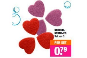 schuursponsjes