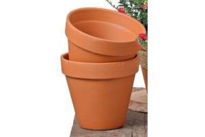 pot terracotta