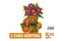 ah herfstchrysanten met eikenblad