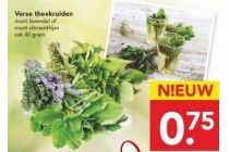 verse theekruiden