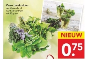 verse theekruiden