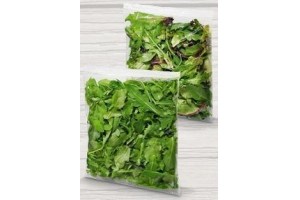 rucola of rucola melange