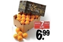 perssinaasappels