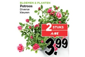potroos