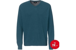 heren trui