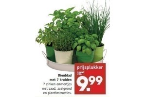 dienblad met 7 kruiden