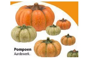 aardewerk pompoen