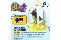 digibirds in kooitje