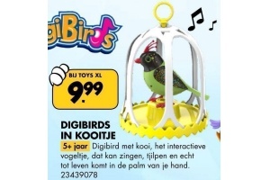 digibirds in kooitje