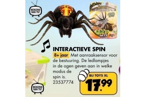 interactieve spin