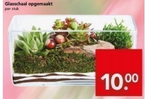 glasschaal opgemaakt