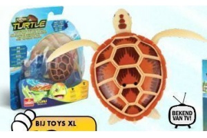 rabo turtle