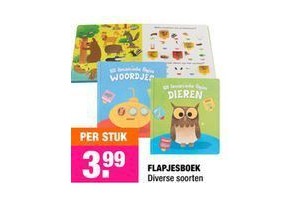 flapjesboek