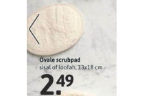 ovalen scrubpad