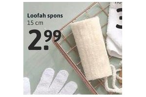 loofah spons